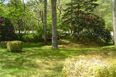 23 Pine Orchard Road Harwich, MA 02645 - Photo 9 of 10 Additional Photo