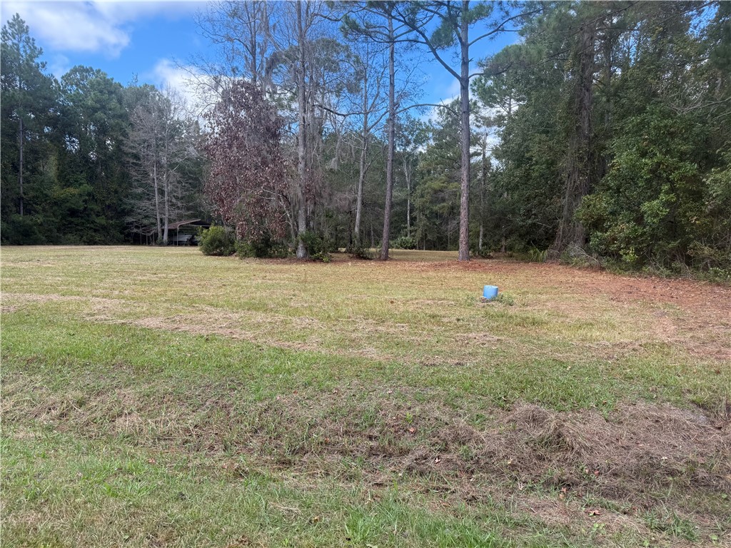 0 Hickory Bluff Road Waverly, GA 31565 - Photo 2 of 6