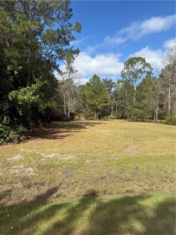 0 Hickory Bluff Road Waverly, GA 31565 - Photo 3 of 6