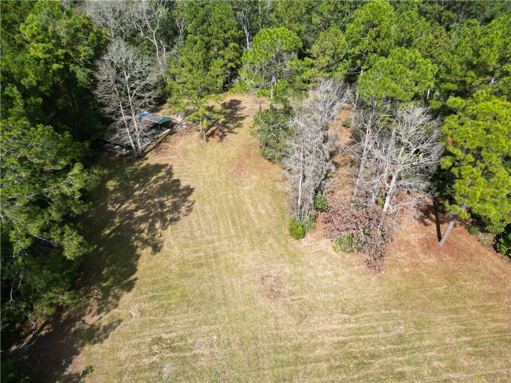 0 Hickory Bluff Road Waverly, GA 31565 - Photo 4 of 6