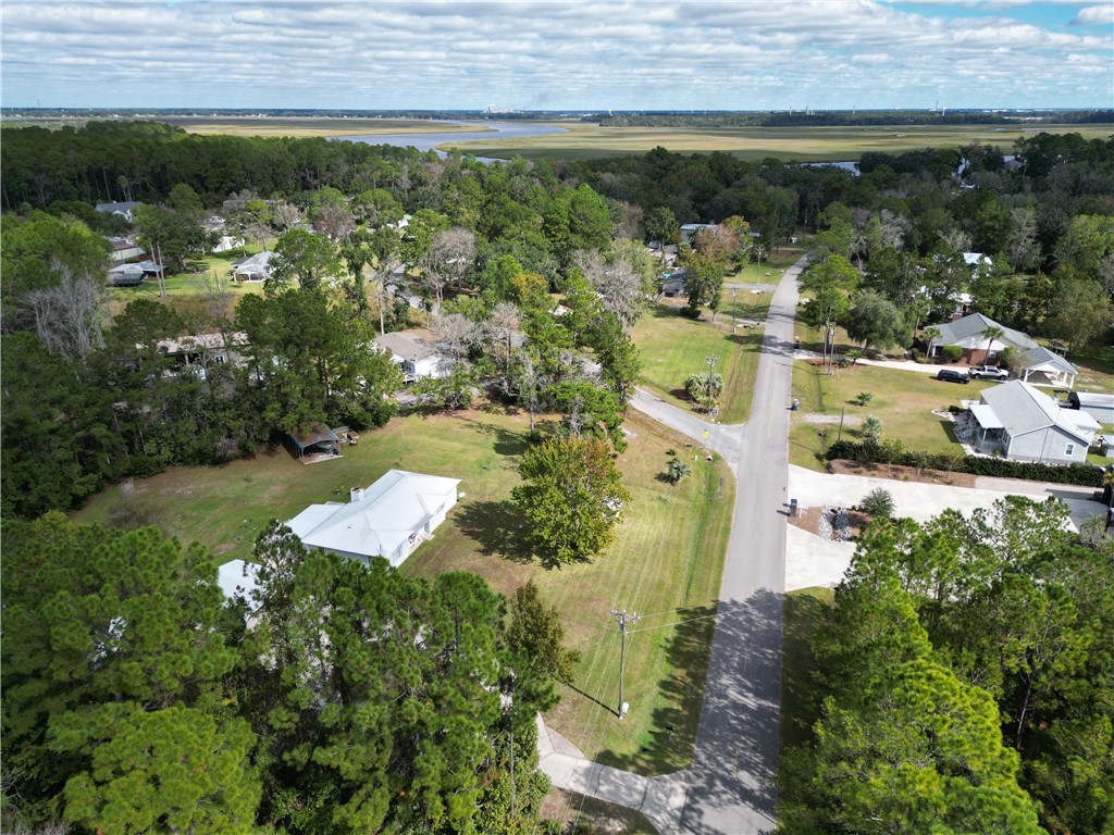 0 Hickory Bluff Road Waverly, GA 31565 - Photo 5 of 6