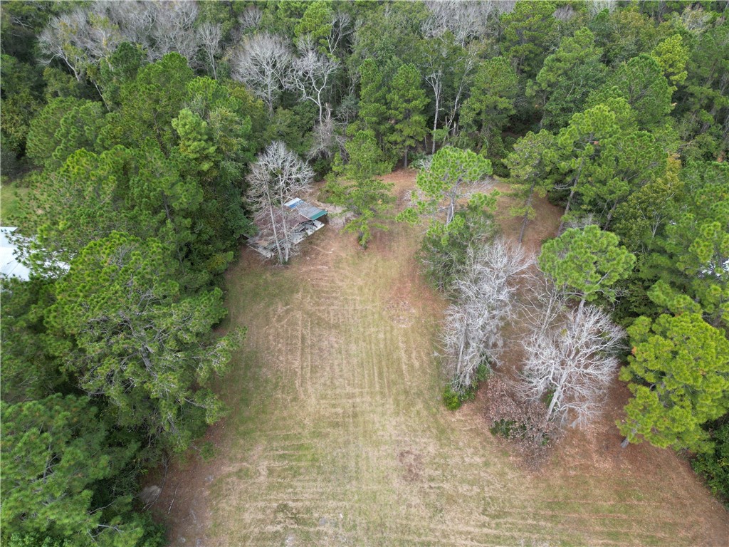 0 Hickory Bluff Road Waverly, GA 31565 - Photo 6 of 6