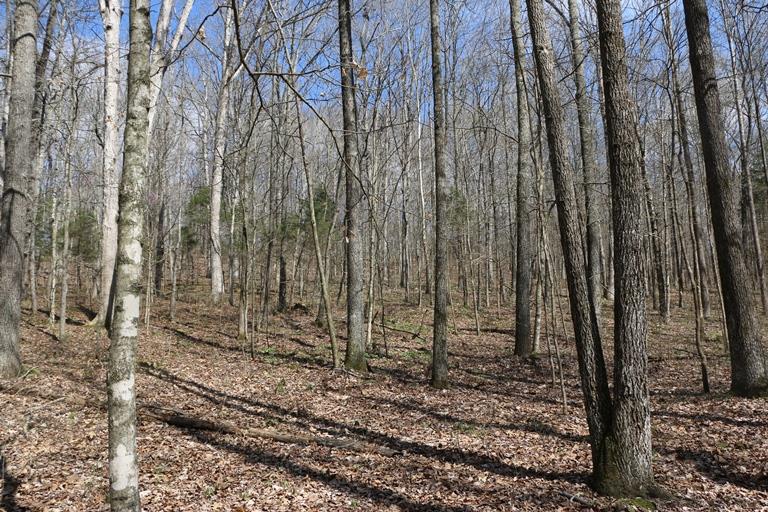 509 R Shanklin Road Elkton, KY 42220 - Photo 2 of 28 Gallery Image 2