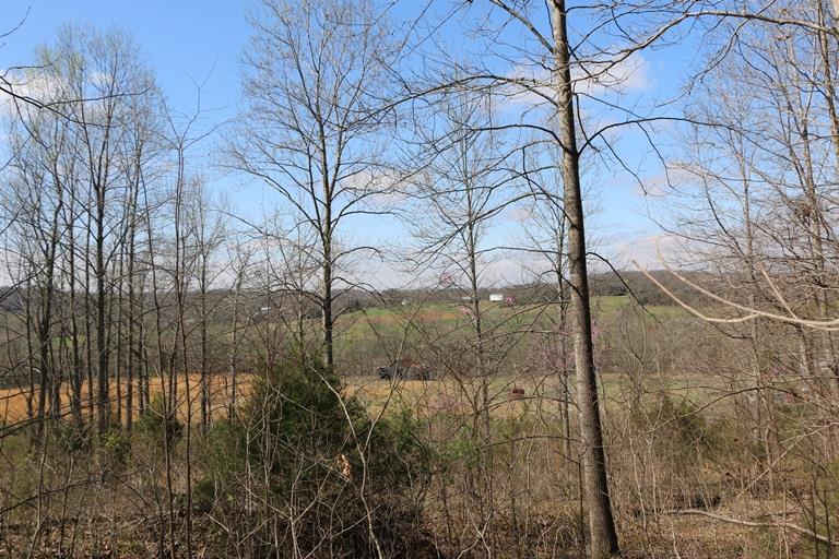509 R Shanklin Road Elkton, KY 42220 - Photo 10 of 28 Gallery Image 10