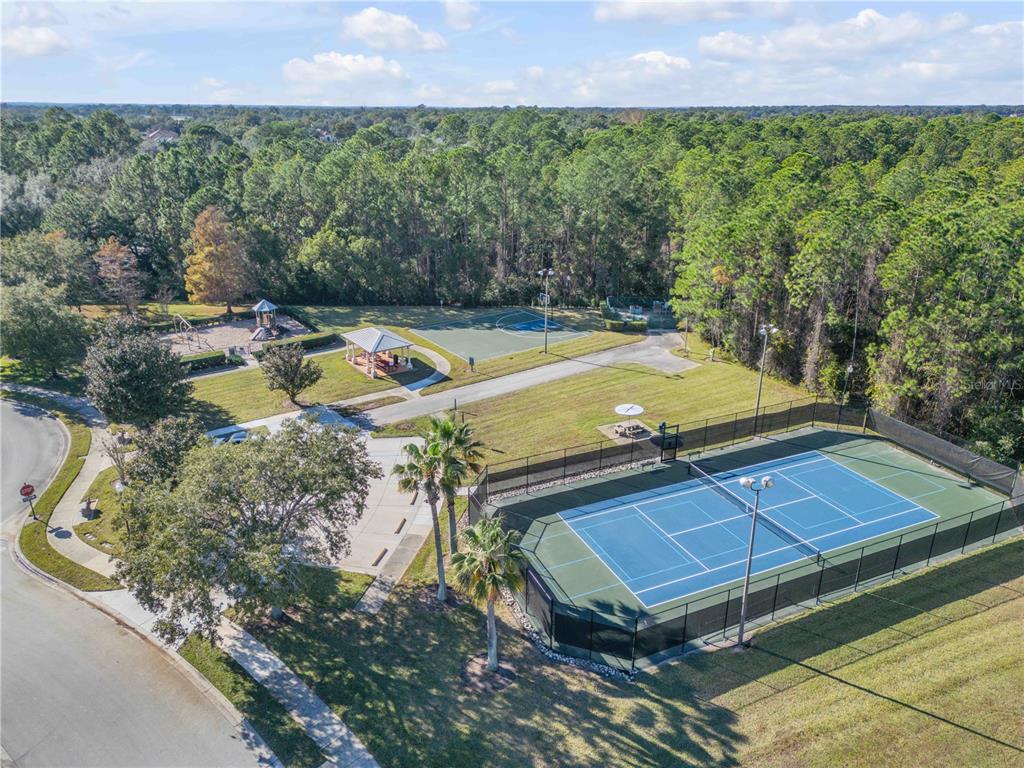 3029 Isola Bella Boulevard Mount Dora, FL 32757 - Photo 79 of 88 Gallery Image 79