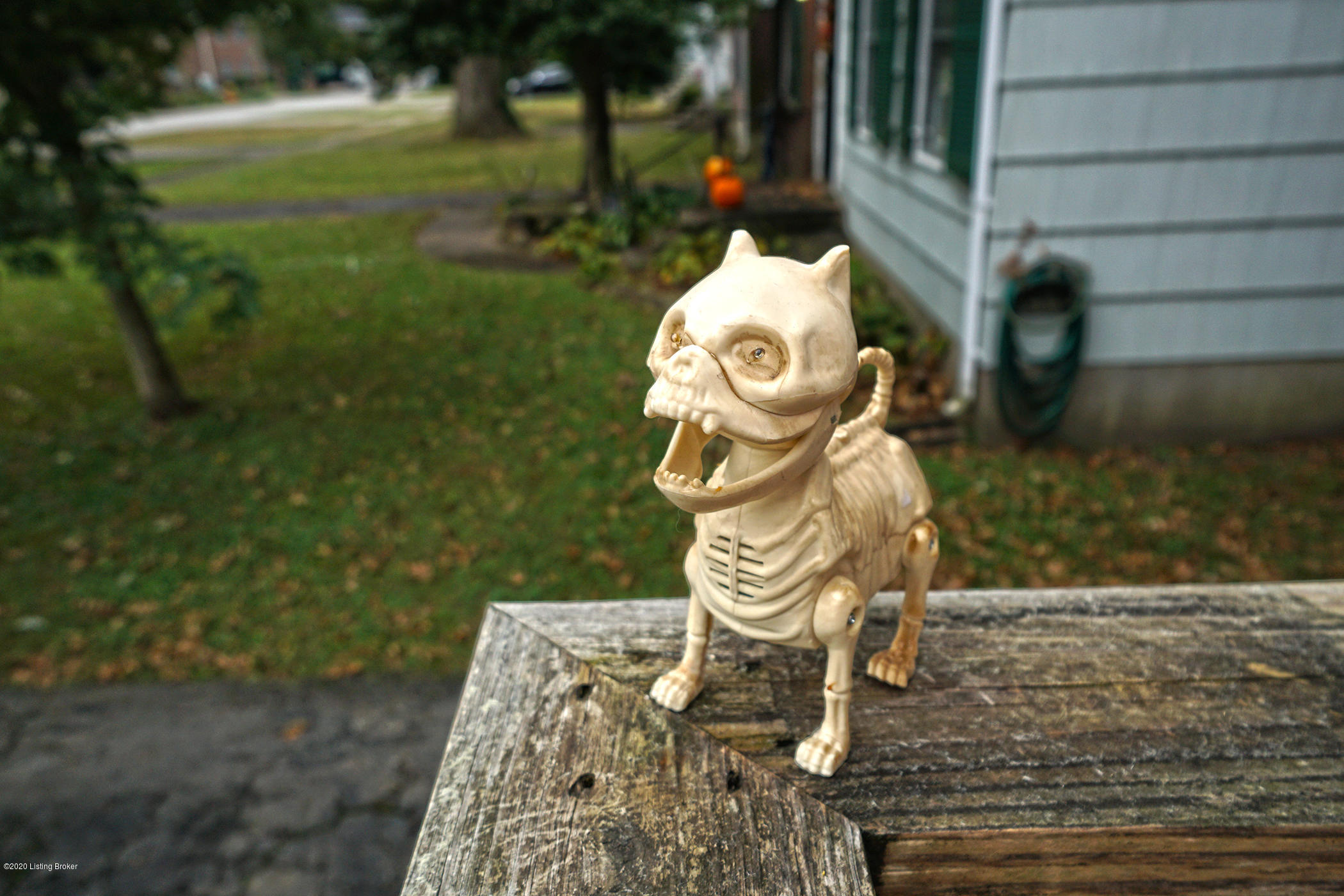 3032 Hendon Road Louisville, KY 40220 - Photo 39 of 39 happy halloween!