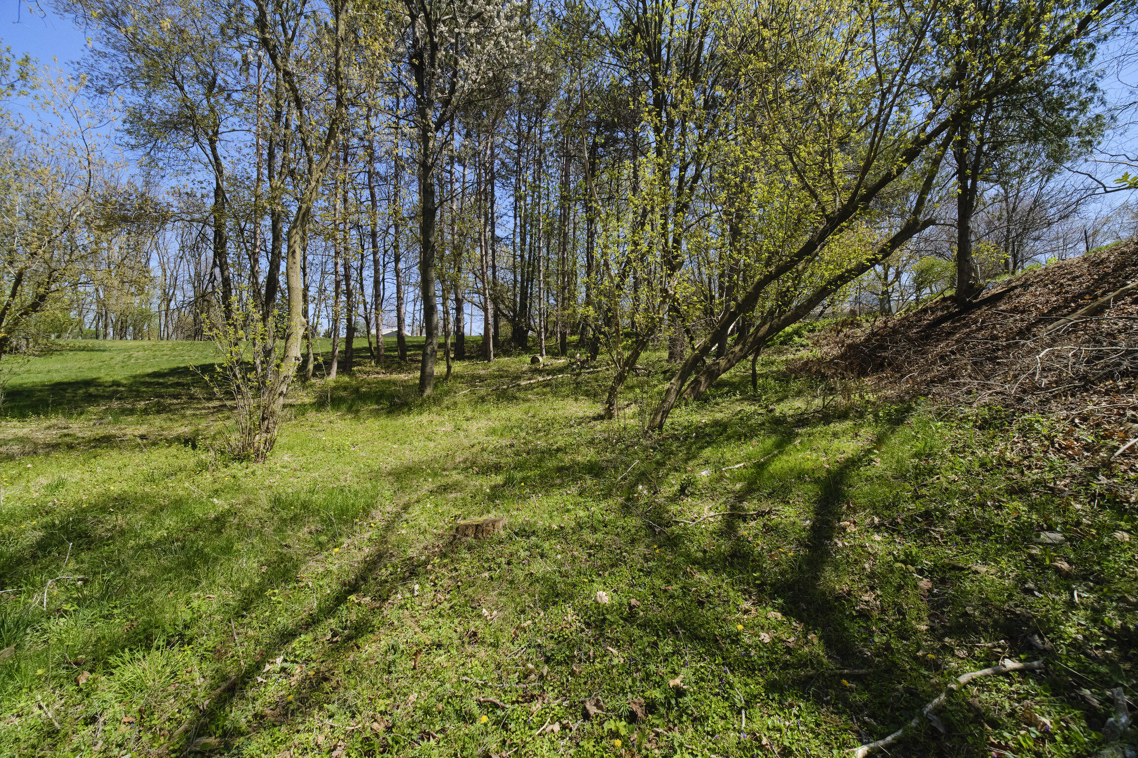 1187 Maple Road Manistee, MI 49660 - Photo 52 of 58 Back Woods