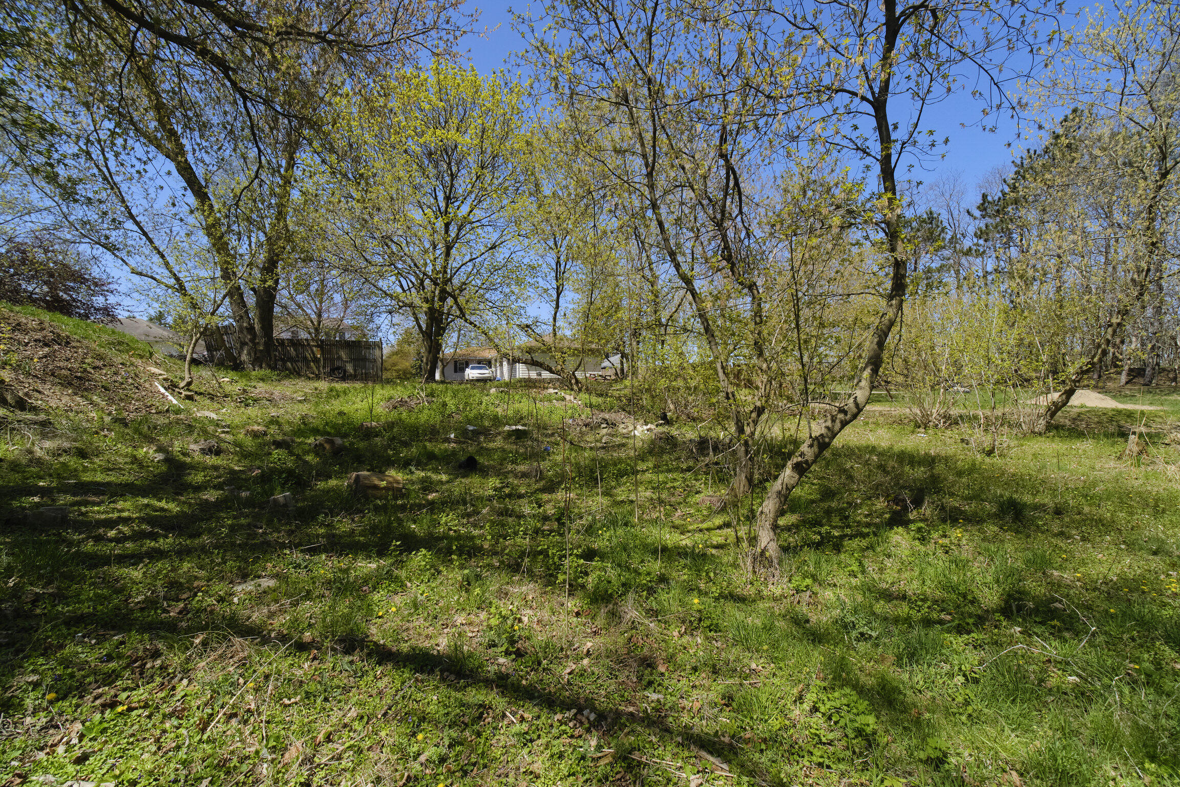 1187 Maple Road Manistee, MI 49660 - Photo 53 of 58 Back Woods