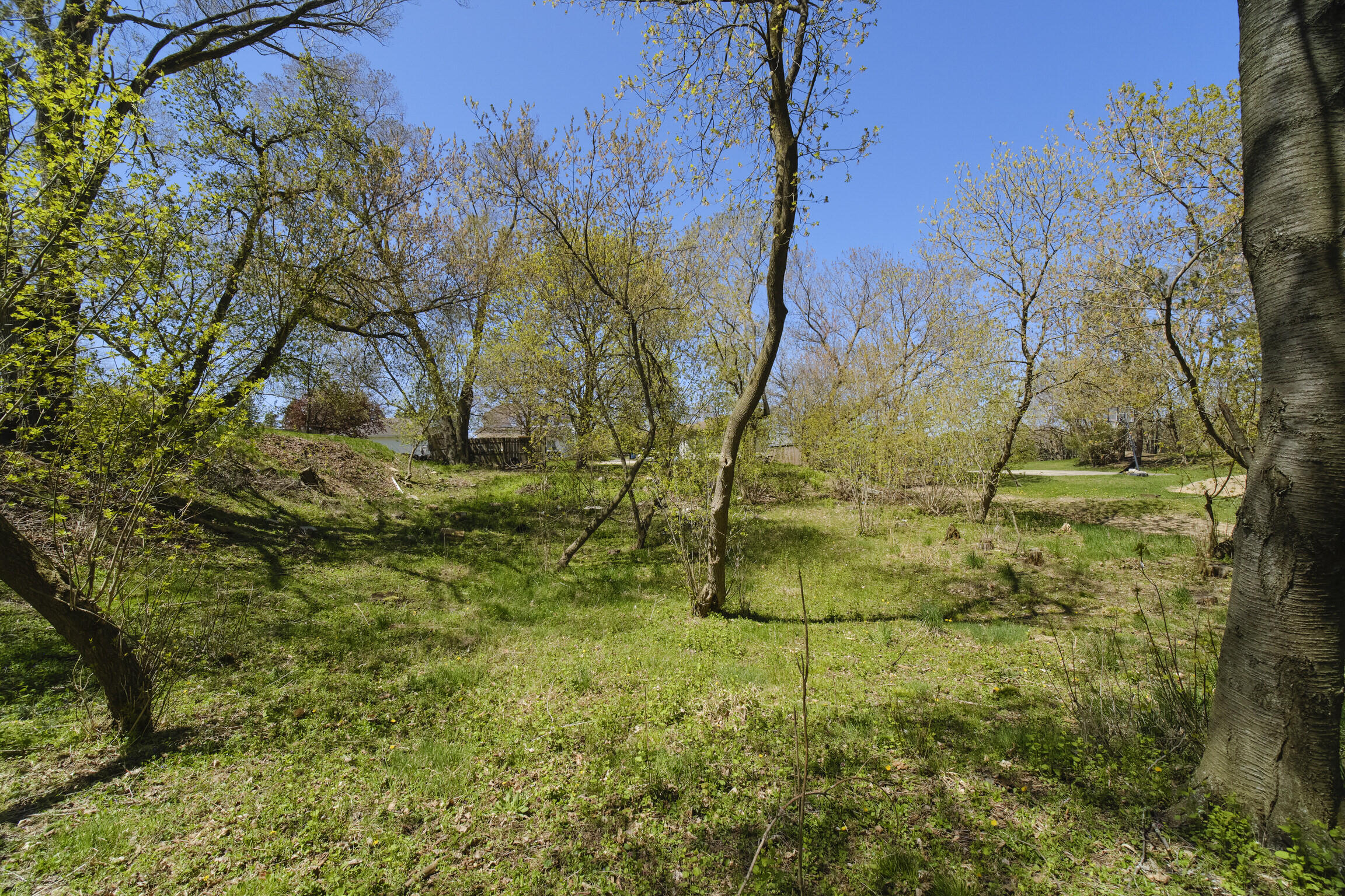 1187 Maple Road Manistee, MI 49660 - Photo 55 of 58 Back Woods