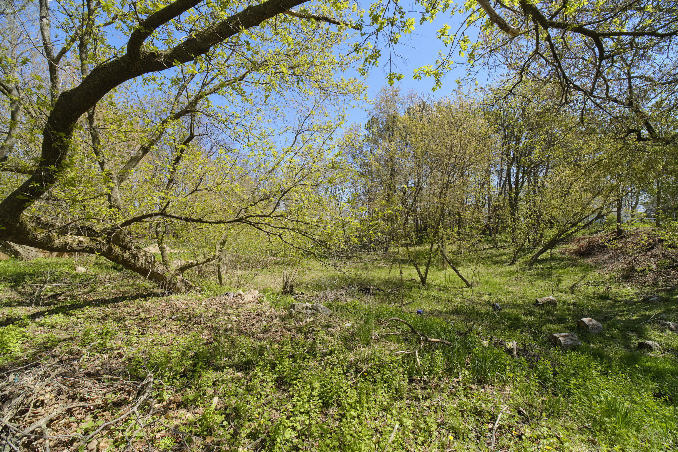 1187 Maple Road Manistee, MI 49660 - Photo 56 of 58 Back Woods