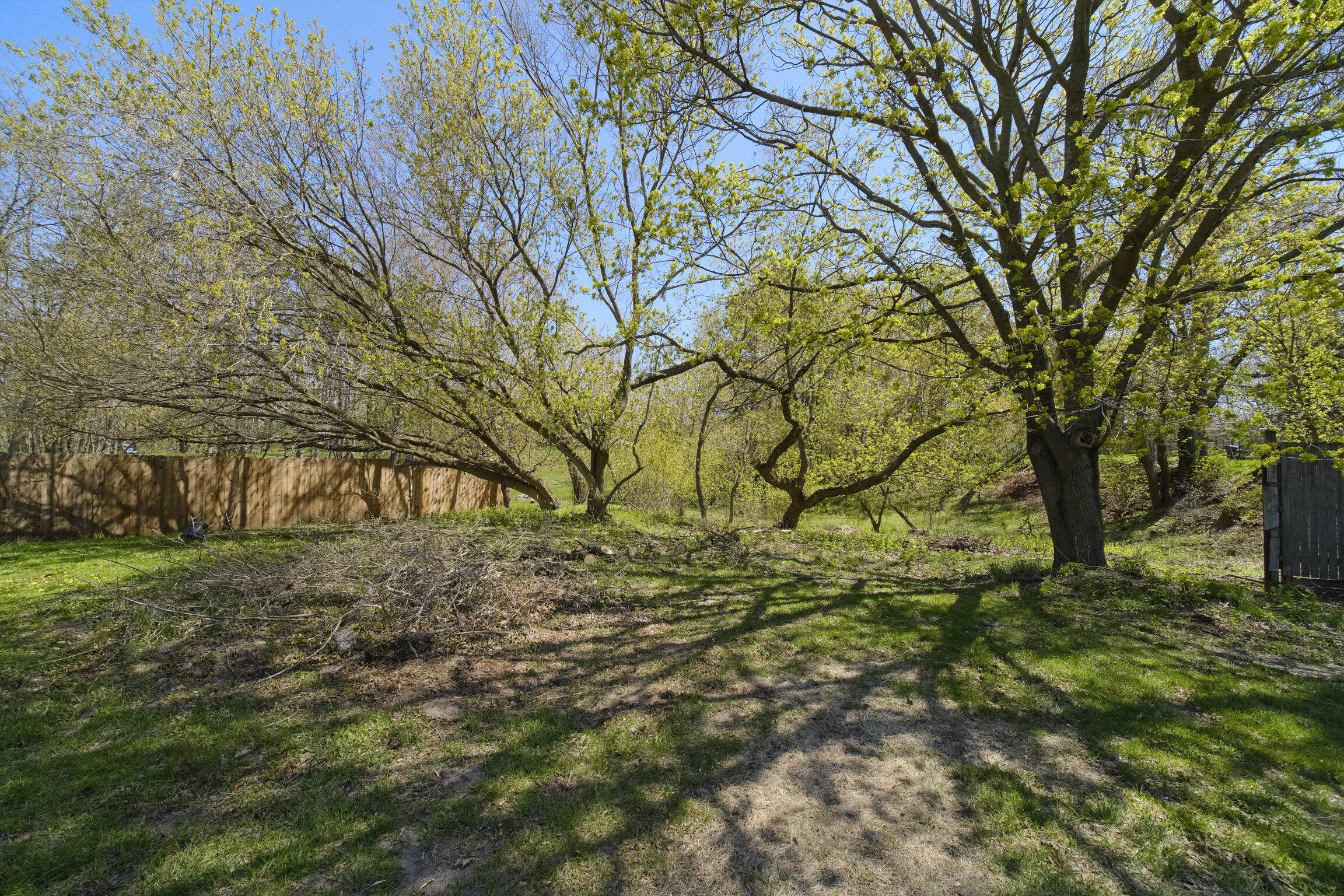 1187 Maple Road Manistee, MI 49660 - Photo 58 of 58 Deep Back Yard