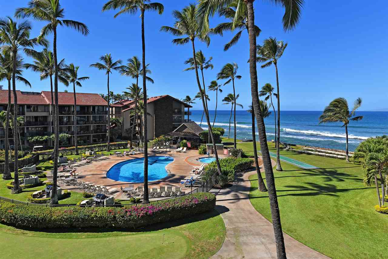 a view of a swimming pool with a garden