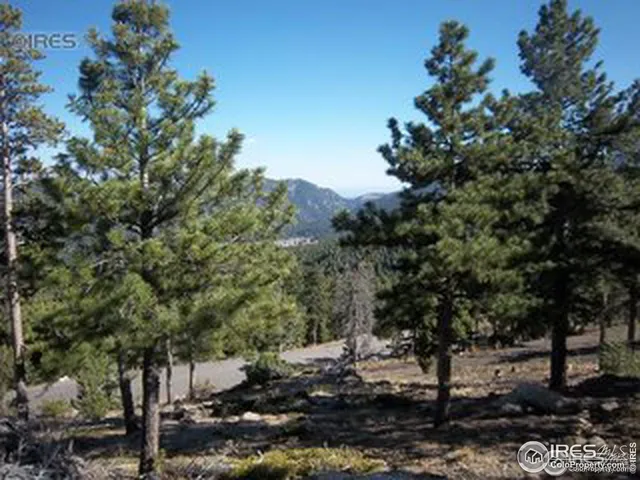a view of a tree in a yard