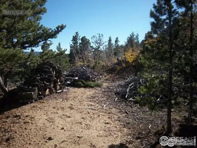 a view of a covered with snow on the side of the road