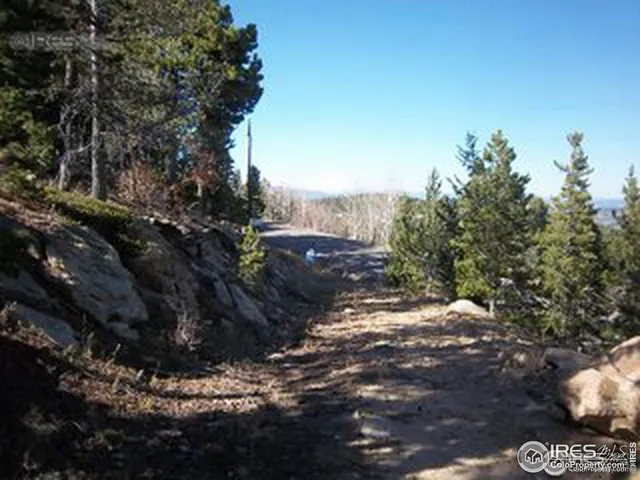 a view of a street with trees