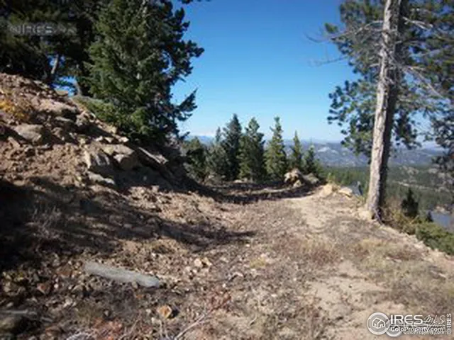 a view of a dry yard with trees