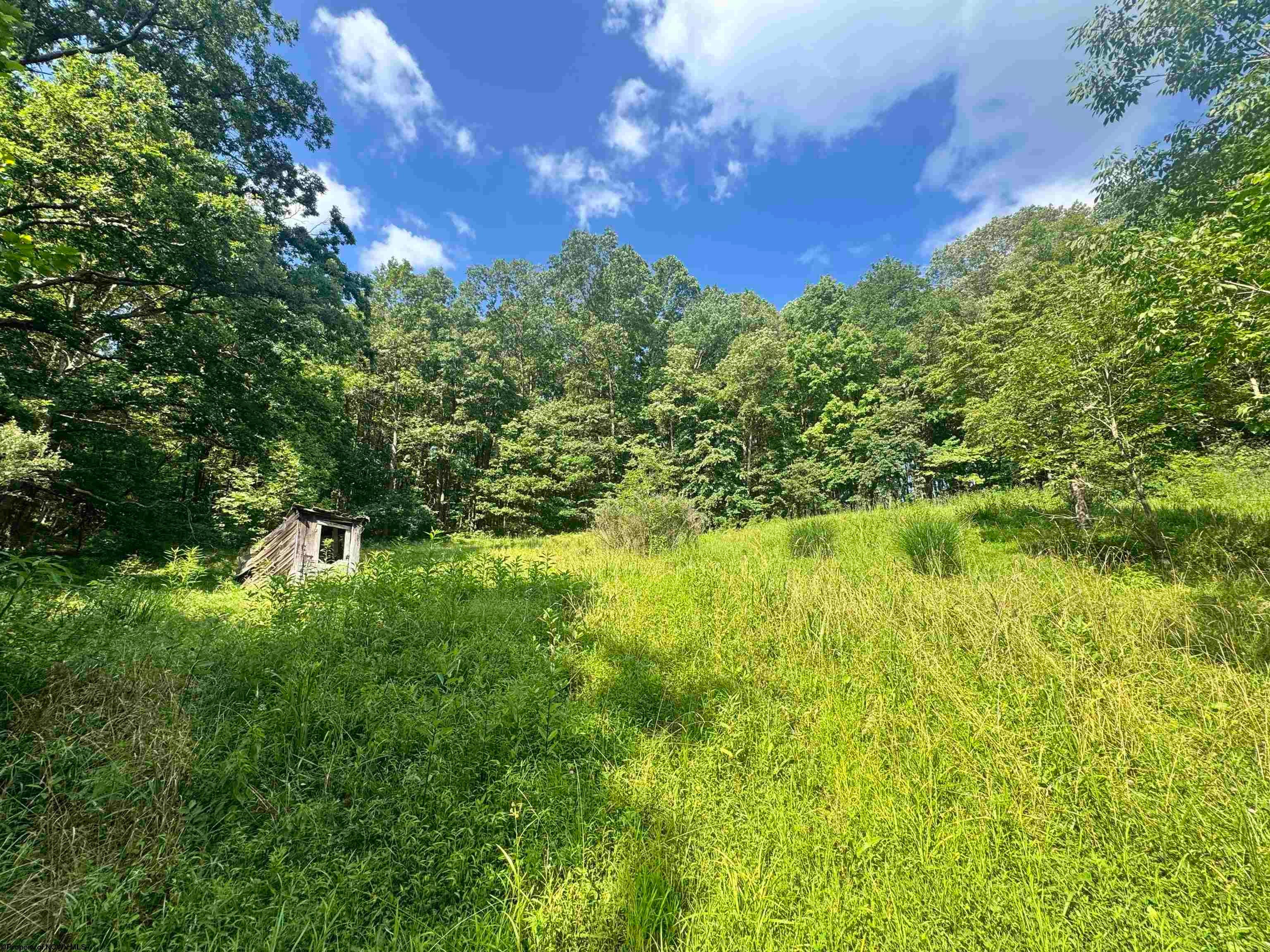 116 Wilson Road Grafton, WV 26354 - Photo 1 of 14 Gallery Image 1