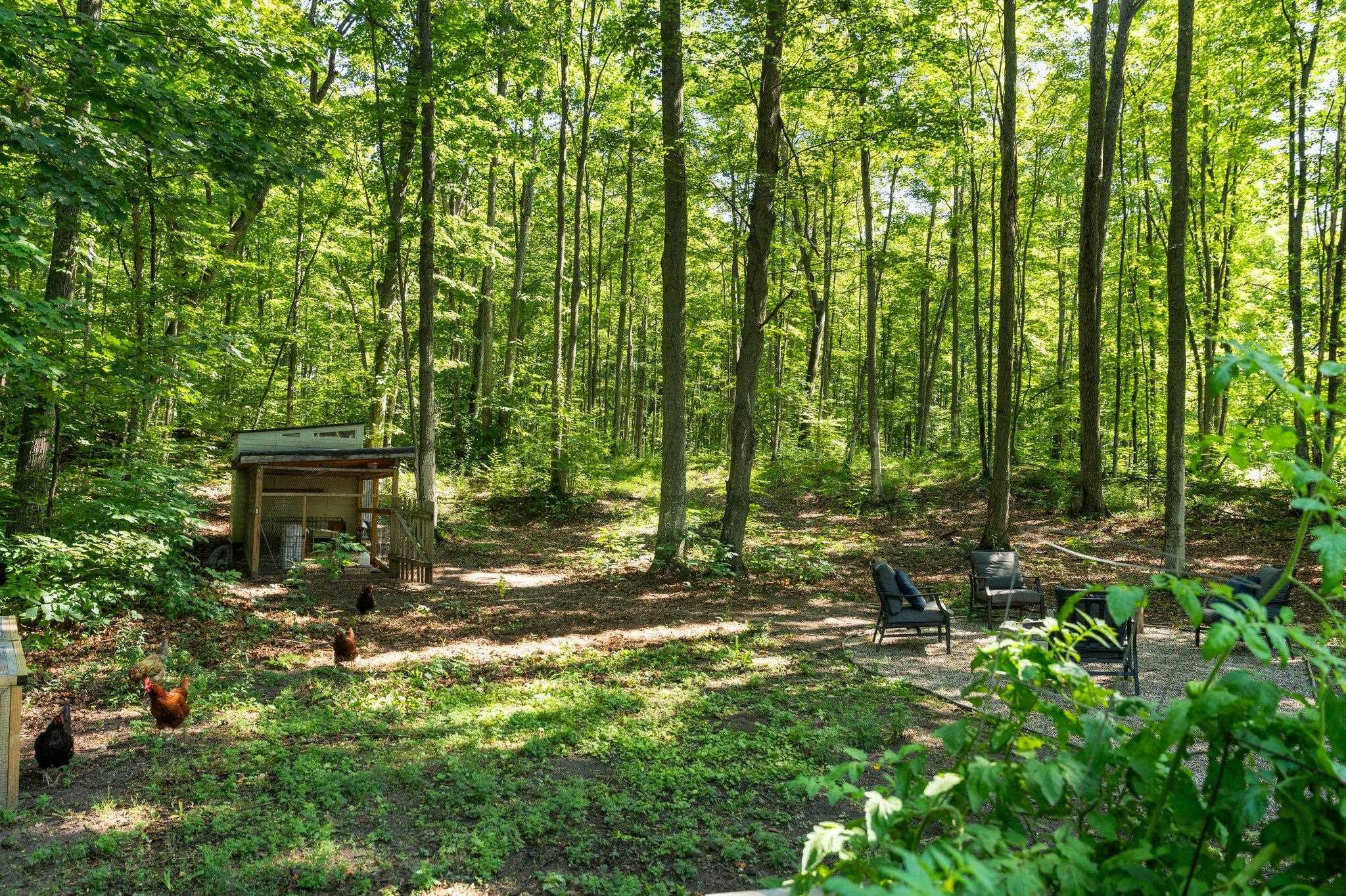 2170 North Jacobson Road Suttons Bay, MI 49682 - Photo 47 of 59 Gallery Image 47