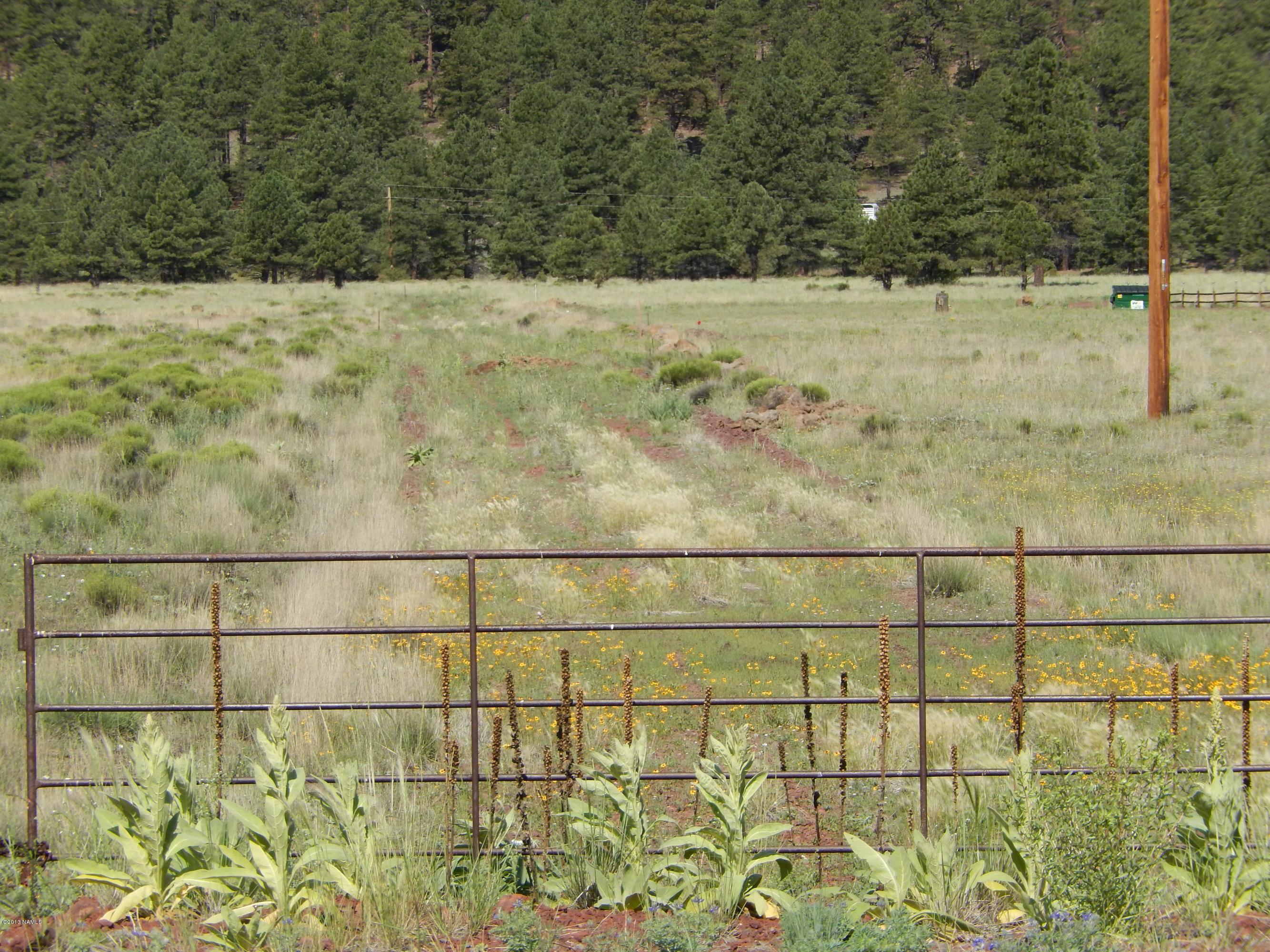 3 North Spring Valley Road Parks, AZ 86018 - Photo 8 of 13 497