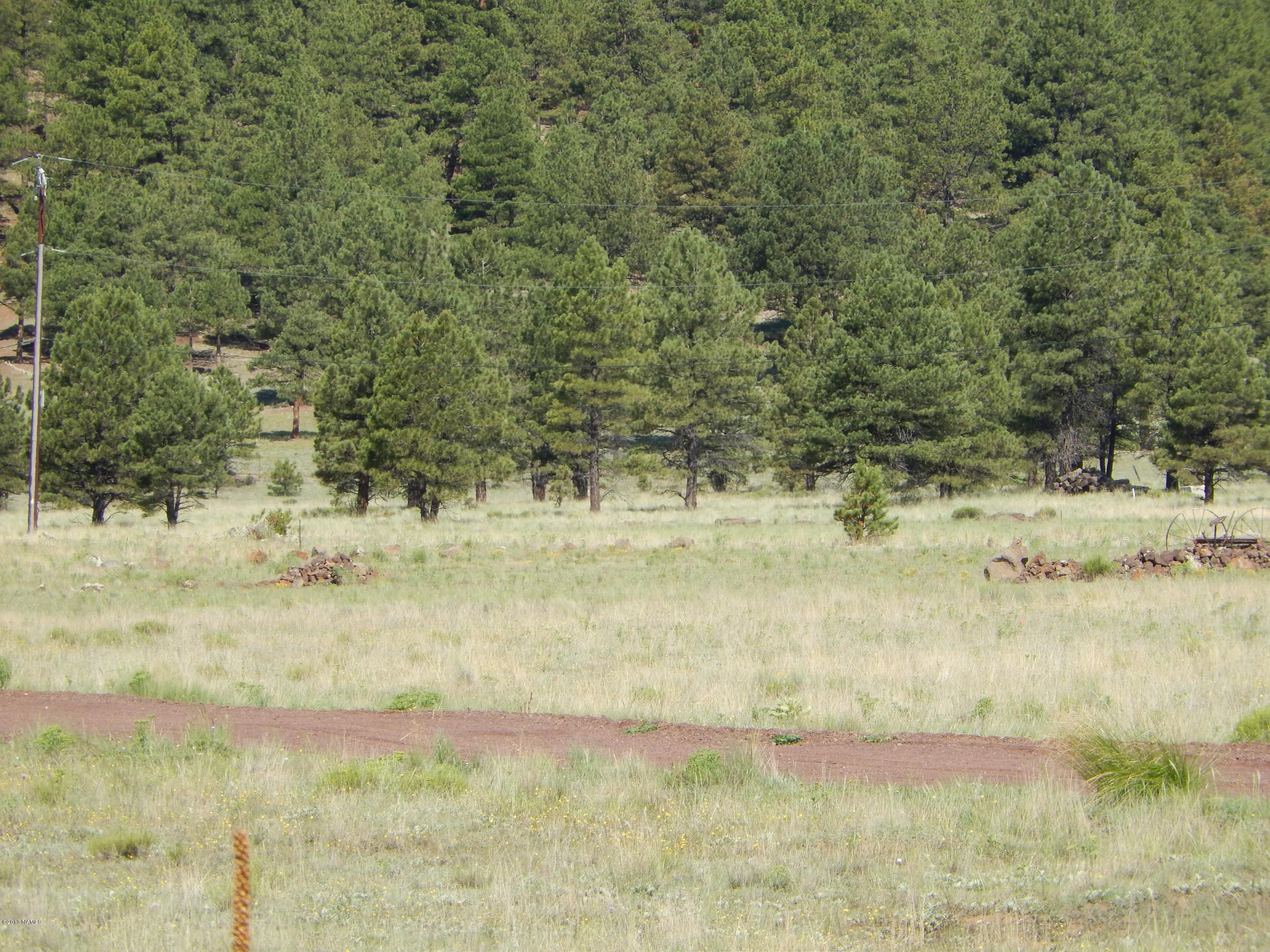 3 North Spring Valley Road Parks, AZ 86018 - Photo 10 of 13 499