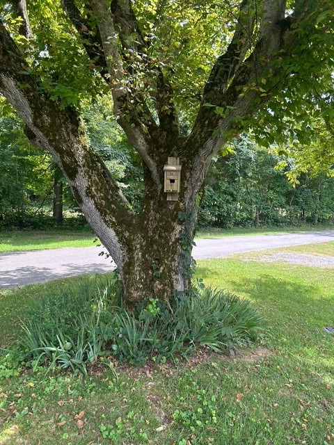 397 Star Point Road Celina, TN 38551 - Photo 43 of 59 Gallery Image 43