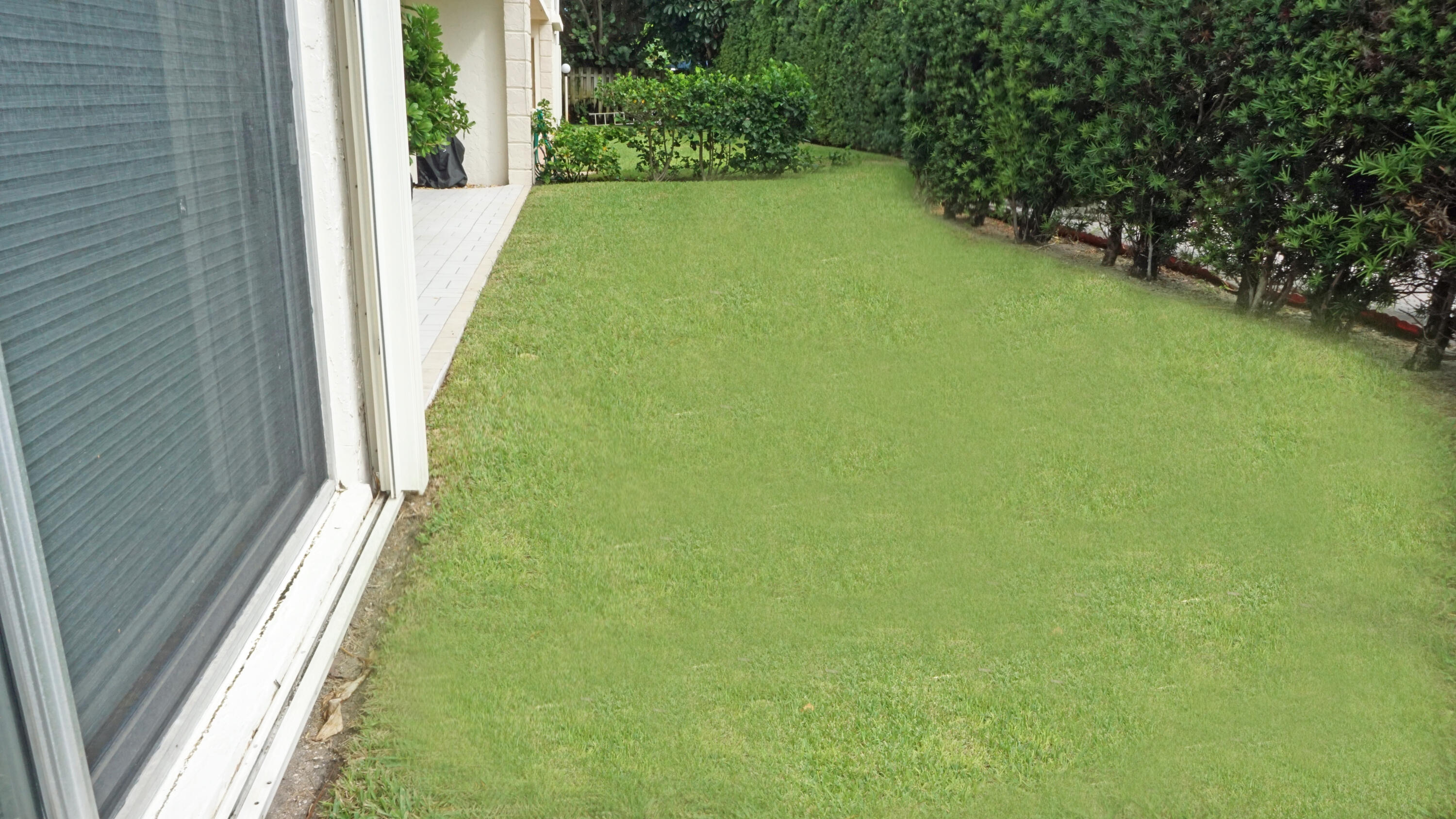 107 Inlet Way, Unit 3 Palm Beach Shores, FL 33404 - Photo 36 of 49 Back Yard