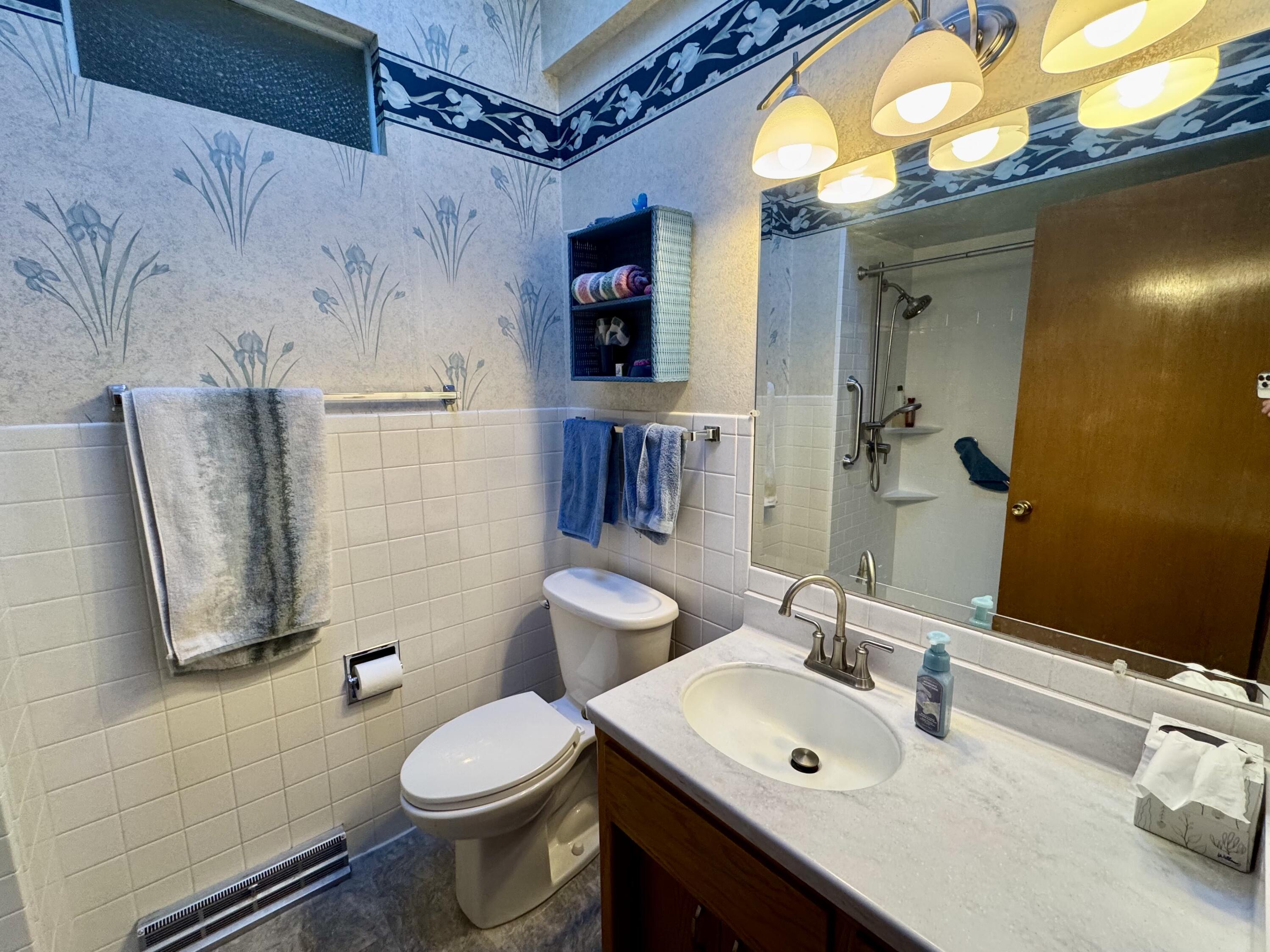 N96W19827 County Line Road Menomonee Falls, WI 53051 - Photo 11 of 25 Updated Main Bath