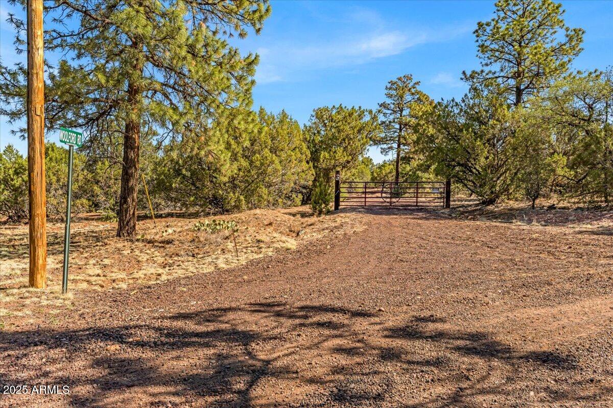 1853 Woolford Road Show Low, AZ 85901 - Photo 8 of 14 a view of empty space with large trees