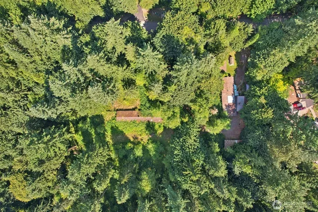 a view of a garden with plants