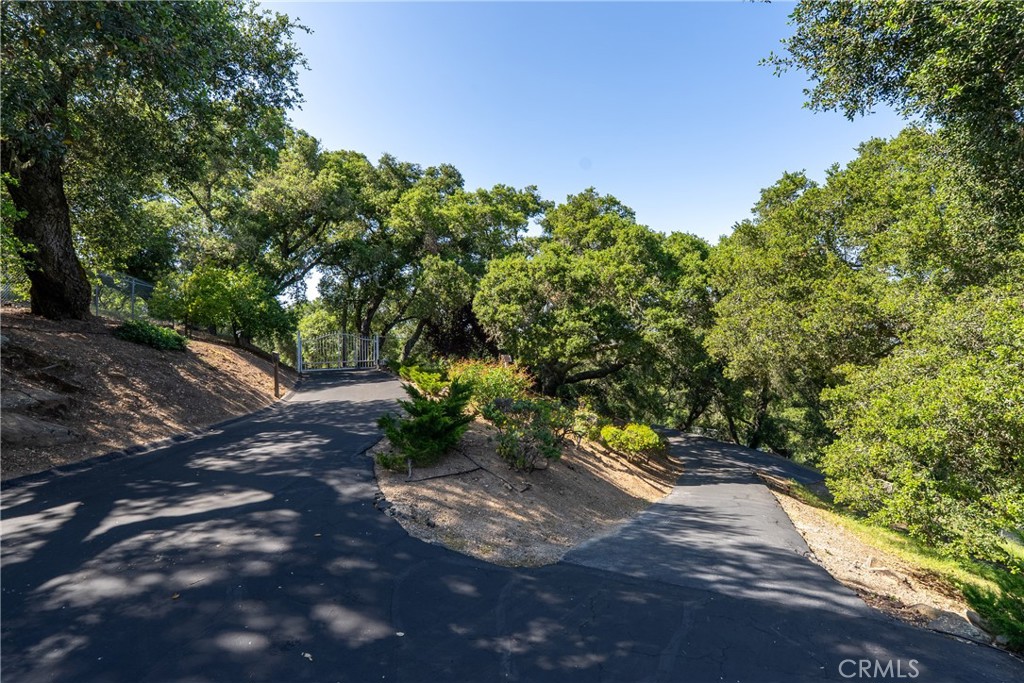 10885 San Marcos Road Atascadero, CA 93422 - Photo 35 of 63 a view of a yard with plants and a trees