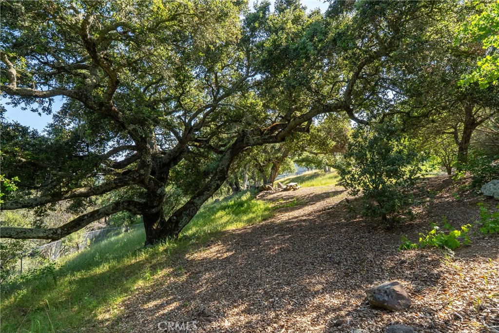 10885 San Marcos Road Atascadero, CA 93422 - Photo 51 of 63 a yard with a trees