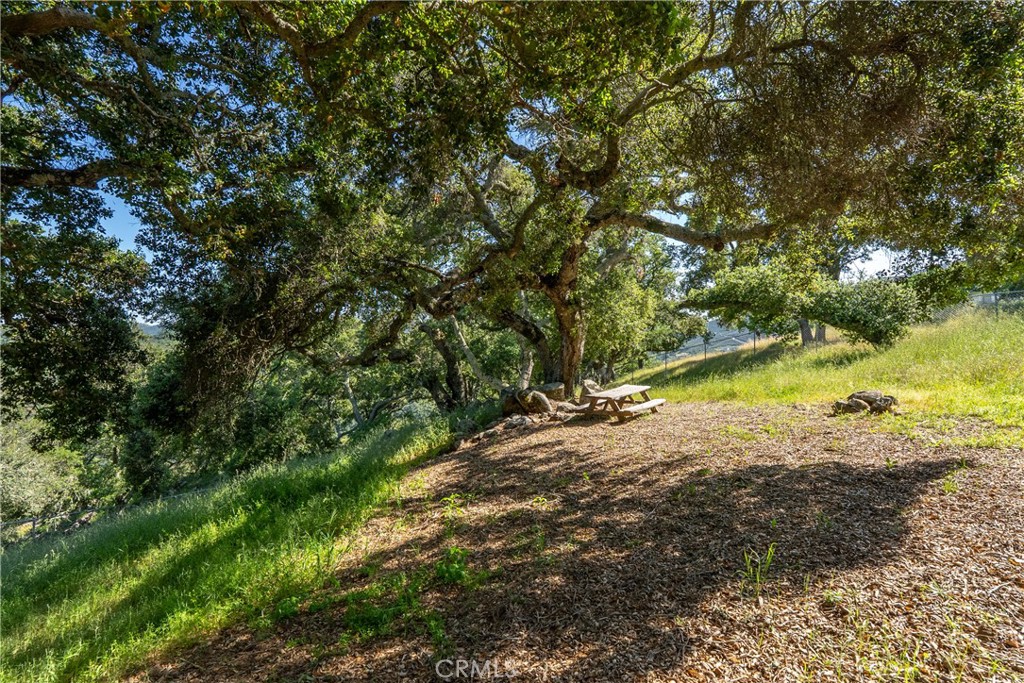 10885 San Marcos Road Atascadero, CA 93422 - Photo 52 of 63 a view of a lake with trees