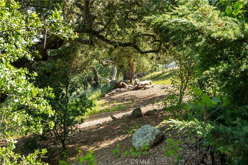 10885 San Marcos Road Atascadero, CA 93422 - Photo 53 of 63 a view of outdoor space and trees