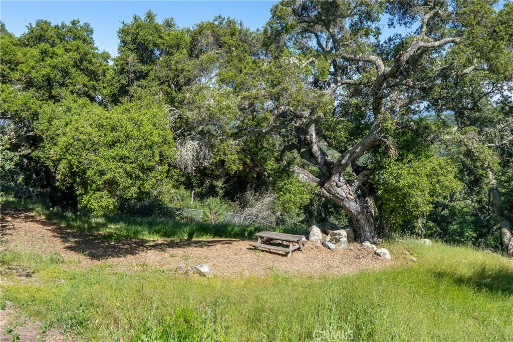10885 San Marcos Road Atascadero, CA 93422 - Photo 54 of 63 a view of a park with a tree