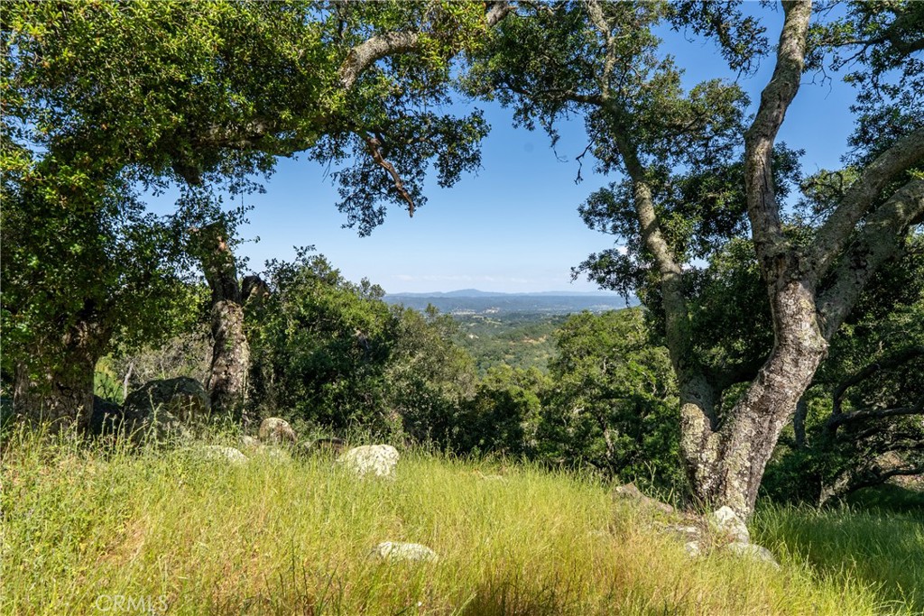 10885 San Marcos Road Atascadero, CA 93422 - Photo 55 of 63 View from the outdoor space on the other side of the pool.