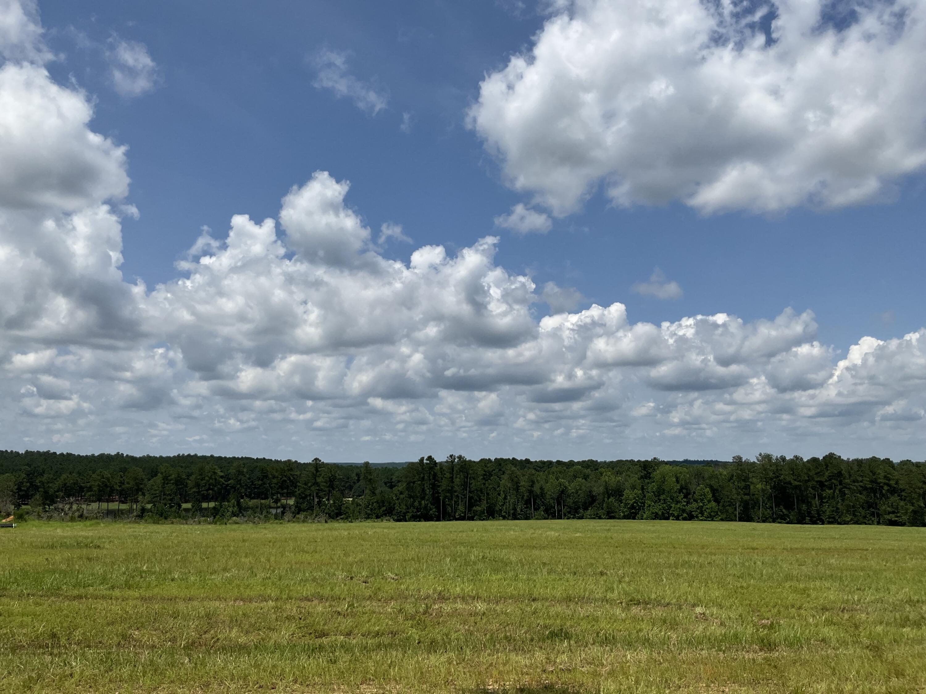 36 Laughlin Loop Aiken, SC 29805 - Photo 6 of 15