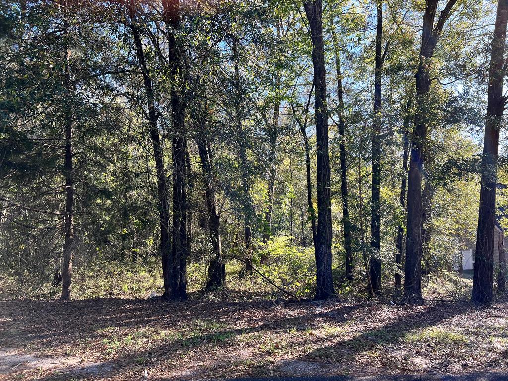 Lot 45-blk Acres Riverside Drive Dothan, AL 36303 - Photo 1 of 2