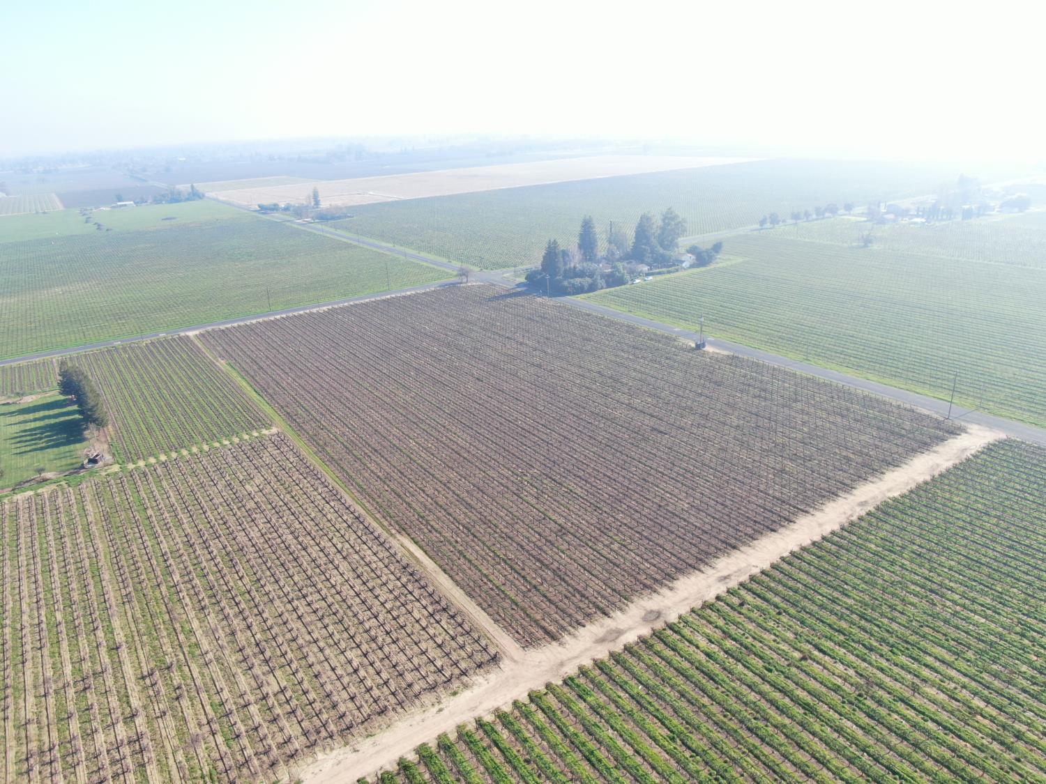 3155 West Woodbridge Road Lodi, CA 95242 - Photo 3 of 7