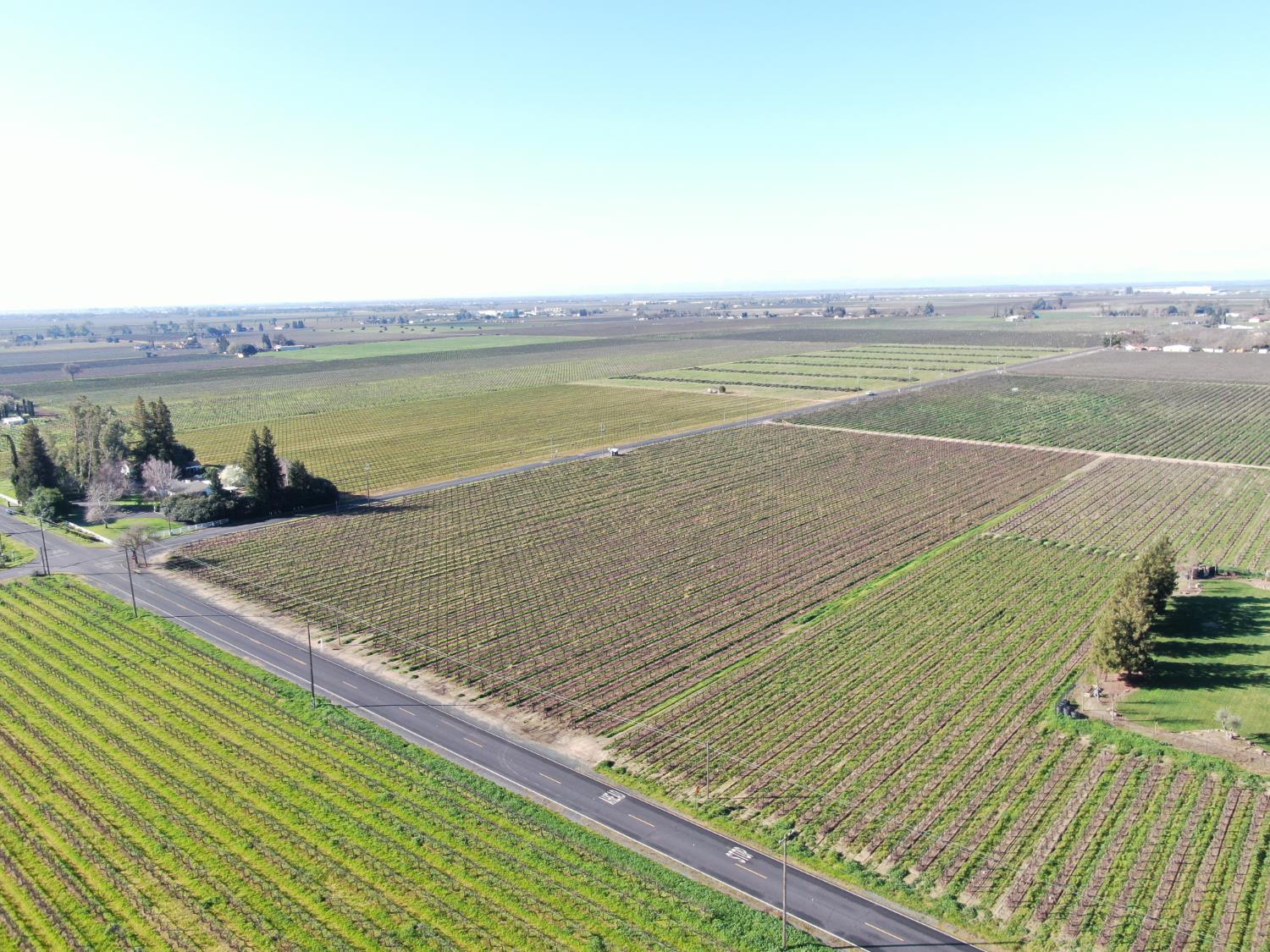 3155 West Woodbridge Road Lodi, CA 95242 - Photo 6 of 10