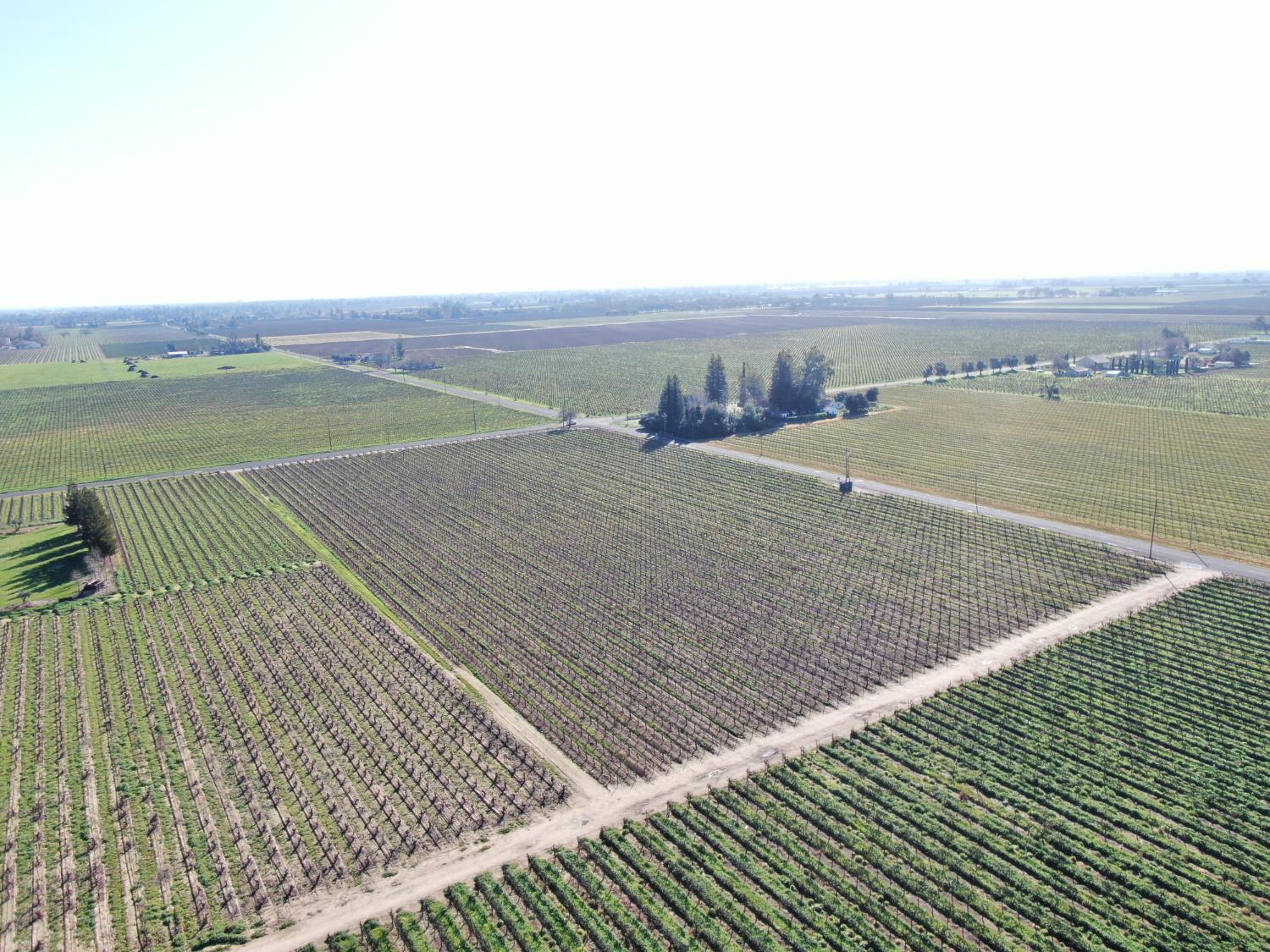 3155 West Woodbridge Road Lodi, CA 95242 - Photo 10 of 10