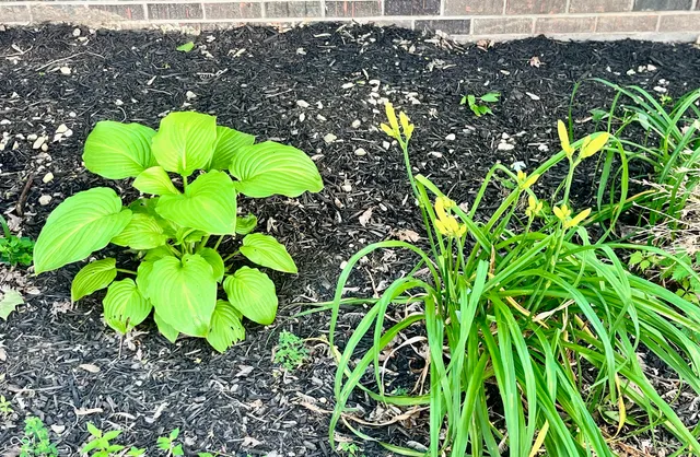 $292,000 | 15841 East 265 North, Columbus, IN 47203