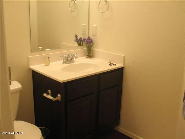 a bathroom with a sink and a toilet