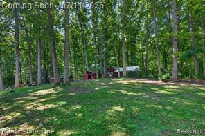 310 South Van Road Holly, MI 48442 - Photo 61 of 67