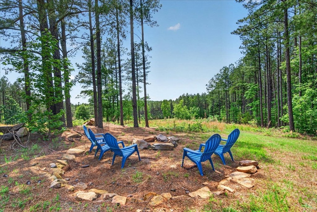 2131 Meherrin Road Meherrin, VA 23954 - Photo 4 of 42 Gallery Image 4