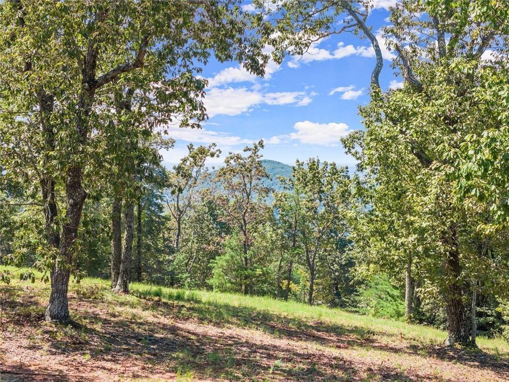 0 Helton Road Cleveland, GA 30528 - Photo 10 of 79 Gallery Image 10