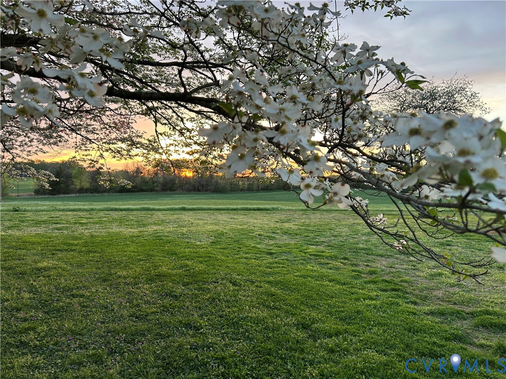 836 Dobbins Bridge Road Blackstone, VA 23824 - Photo 2 of 5 a view of a trees with a yard