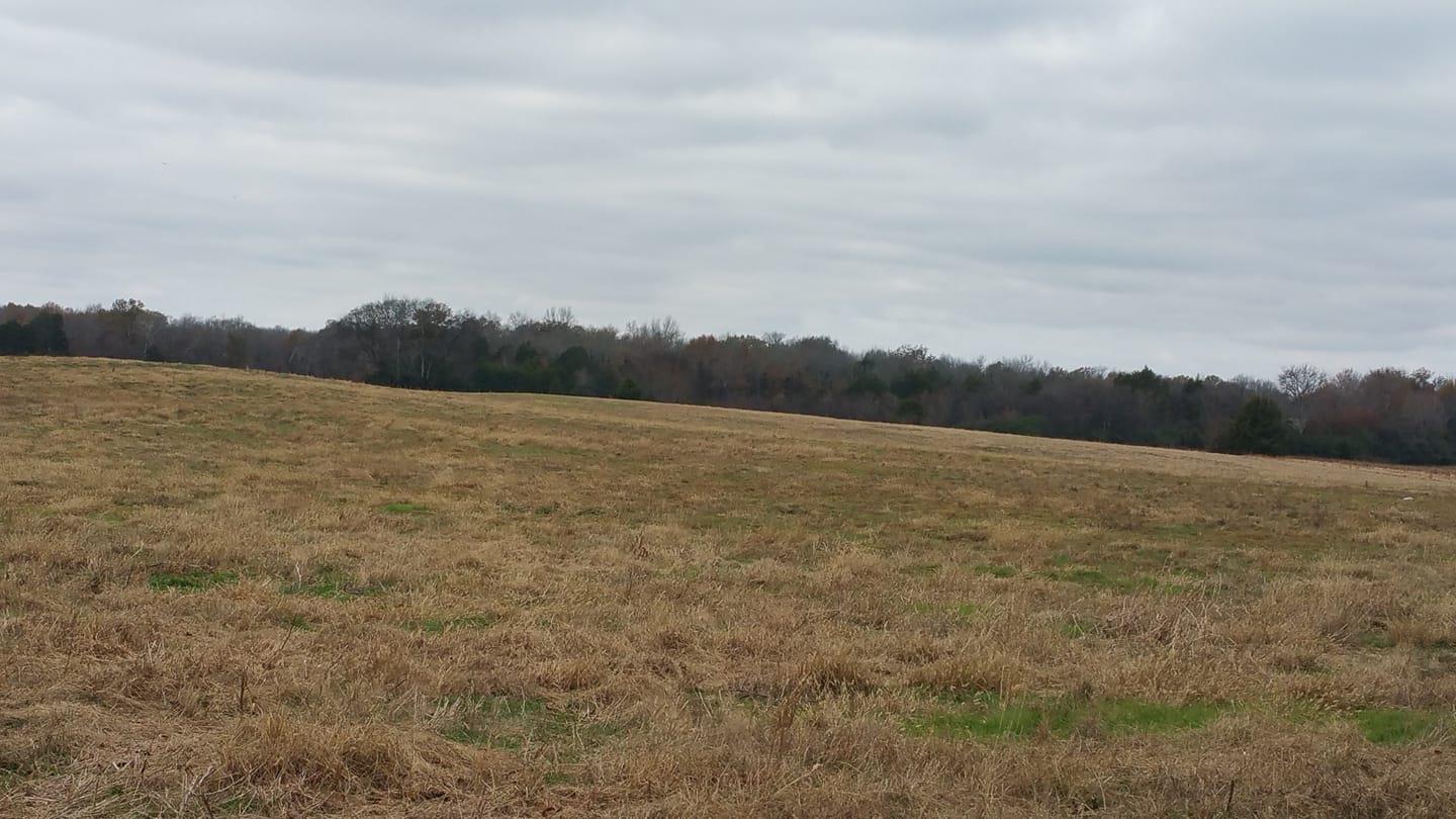 3 Lunns Store Road Lewisburg, TN 37091 - Photo 1 of 1 Gallery Image 1