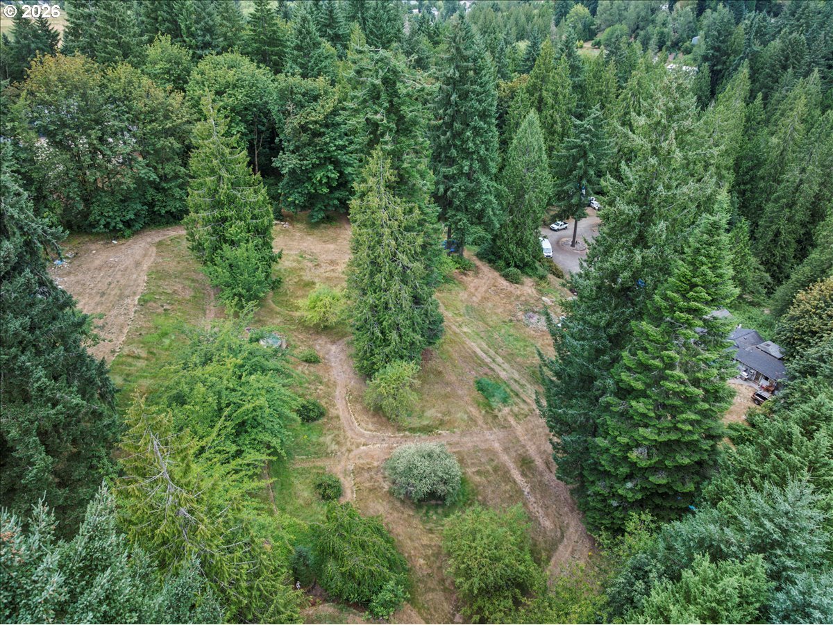 15611 Northeast Doneta Road Brush Prairie, WA 98606 - Photo 6 of 12