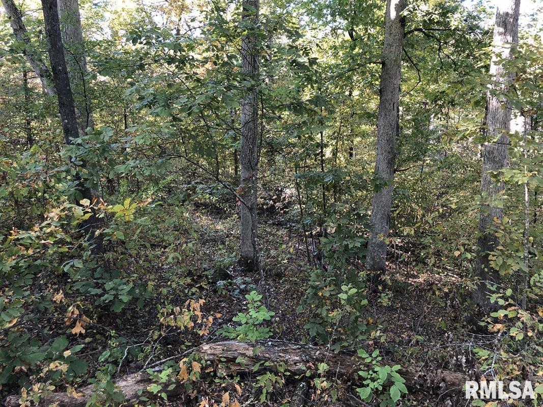 0 Club Road Carbondale, IL 62902 - Photo 11 of 22