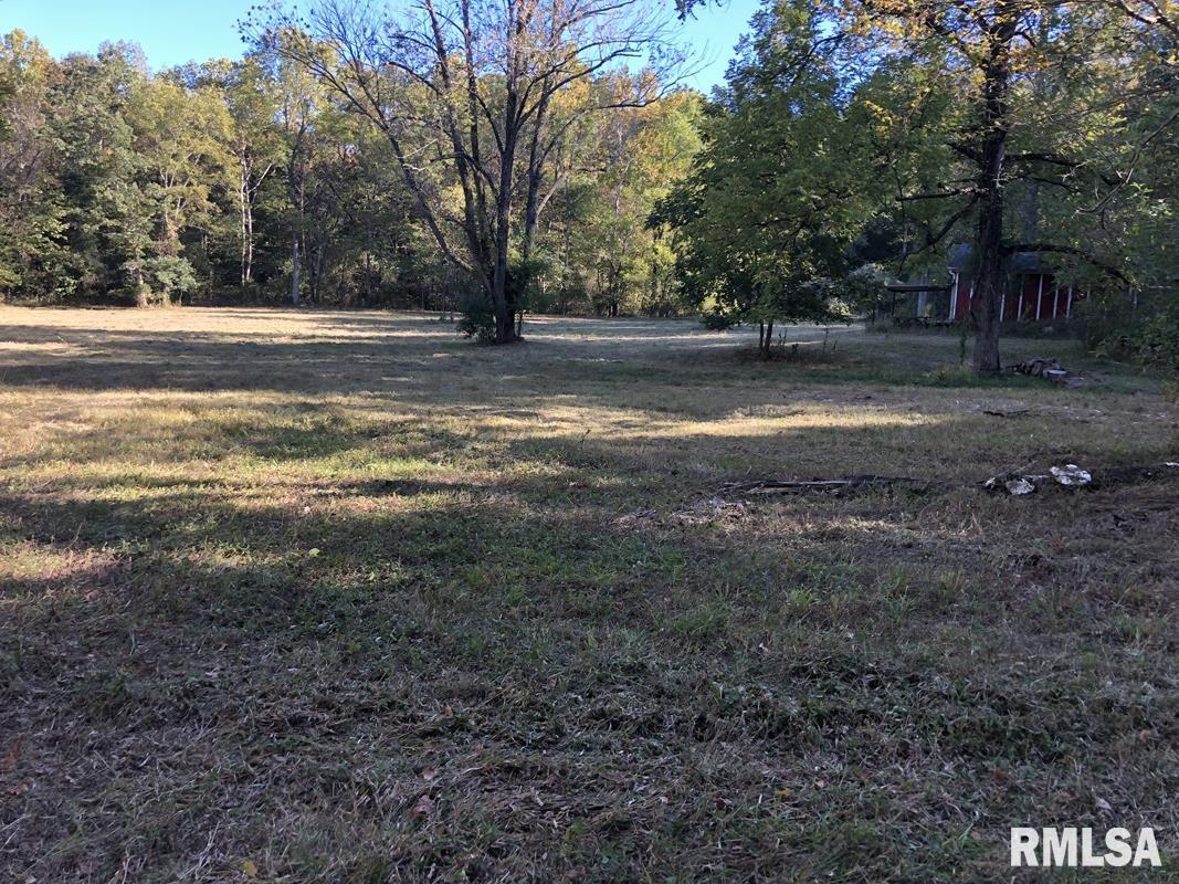 0 Club Road Carbondale, IL 62902 - Photo 13 of 22
